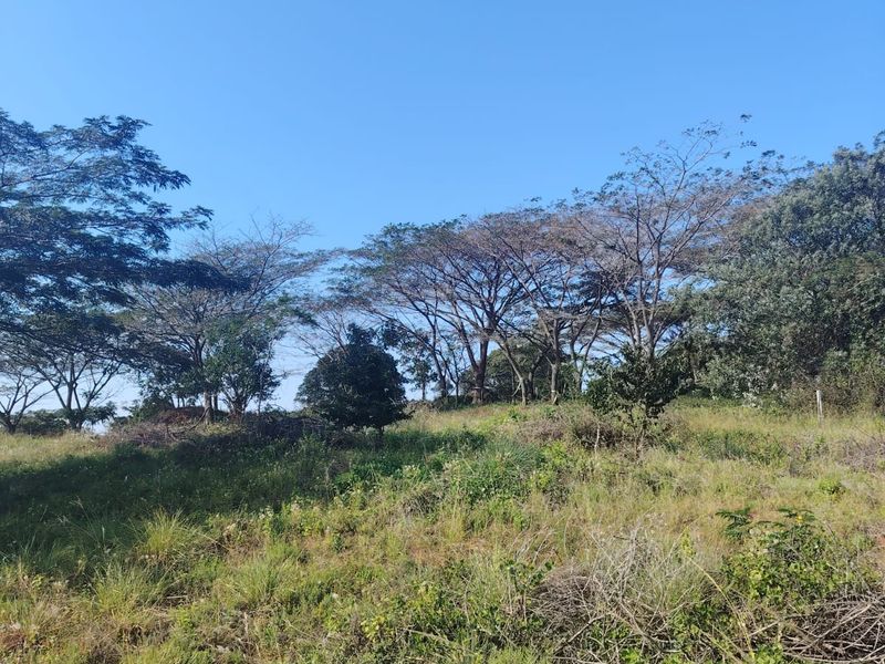Prime Vacant Land for Sale in Seaton Estate – Create the Lifestyle You've Always Wanted - Photo 8
