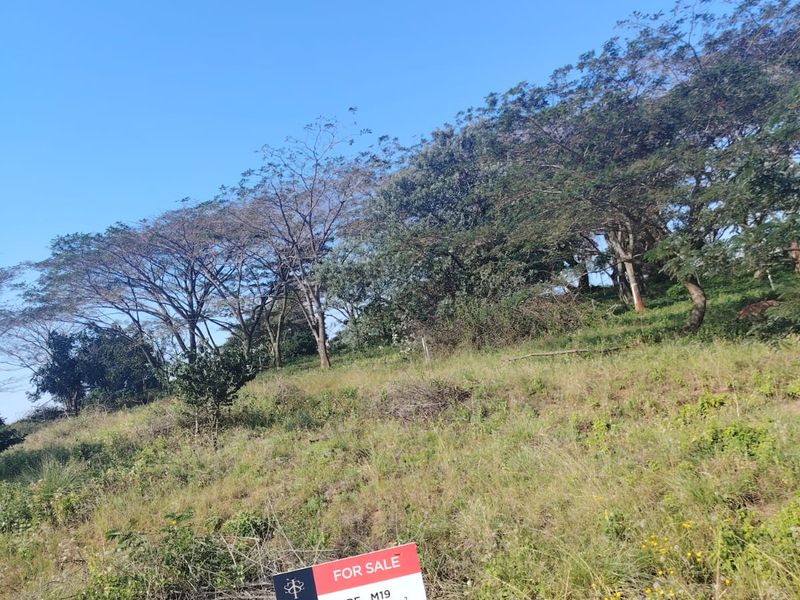 Prime Vacant Land for Sale in Seaton Estate – Create the Lifestyle You've Always Wanted - Photo 9