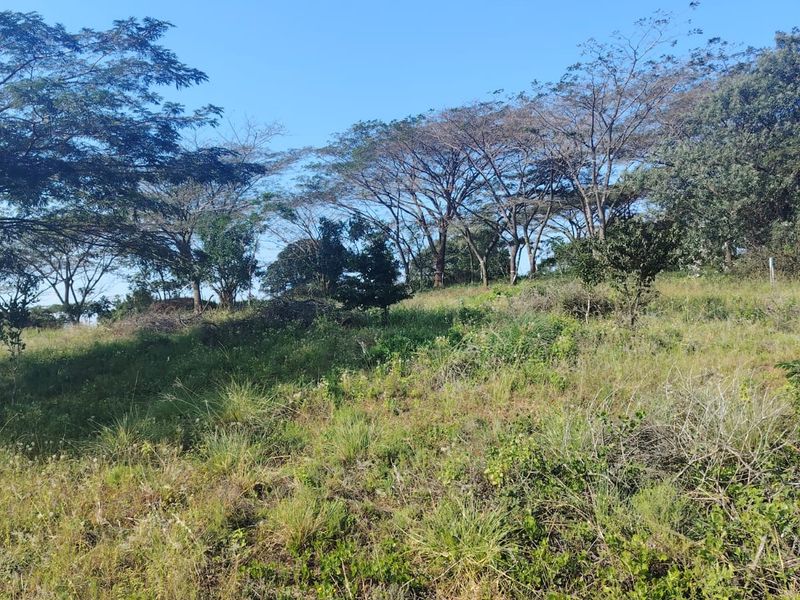 Prime Vacant Land for Sale in Seaton Estate – Create the Lifestyle You've Always Wanted - Photo 7