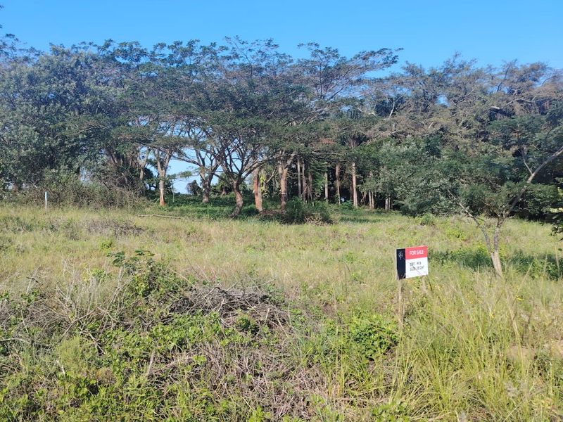 Prime Vacant Land for Sale in Seaton Estate – Create the Lifestyle You've Always Wanted - Photo 6