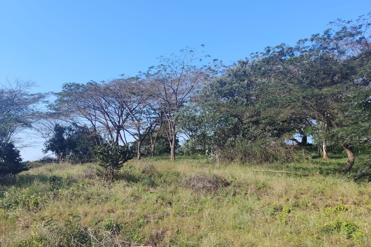 Prime Vacant Land for Sale in Seaton Estate – Create the Lifestyle You've Always Wanted - Photo 4