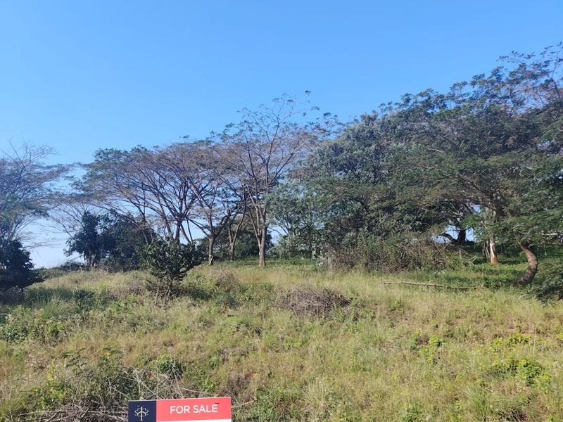 Prime Vacant Land for Sale in Seaton Estate – Create the Lifestyle You've Always Wanted - Photo 4