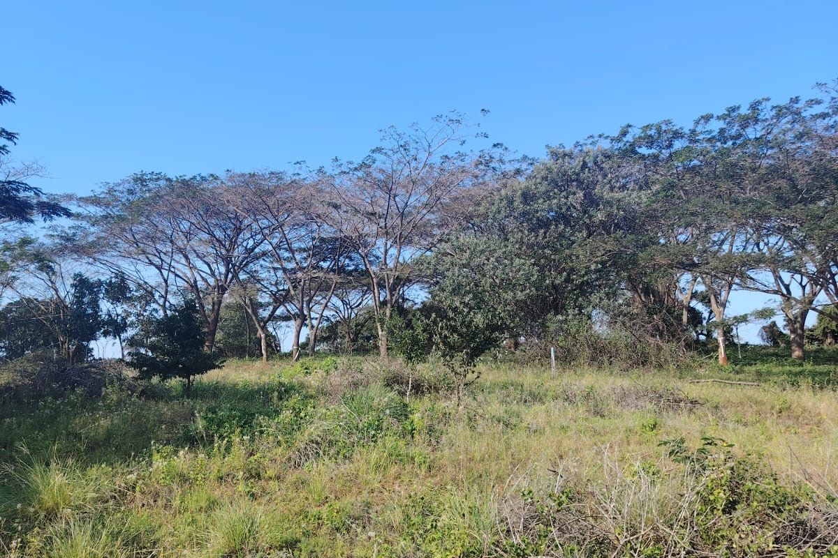 Prime Vacant Land for Sale in Seaton Estate – Create the Lifestyle You've Always Wanted - Photo 3