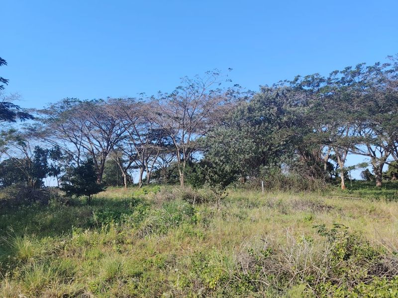 Prime Vacant Land for Sale in Seaton Estate – Create the Lifestyle You've Always Wanted - Photo 3