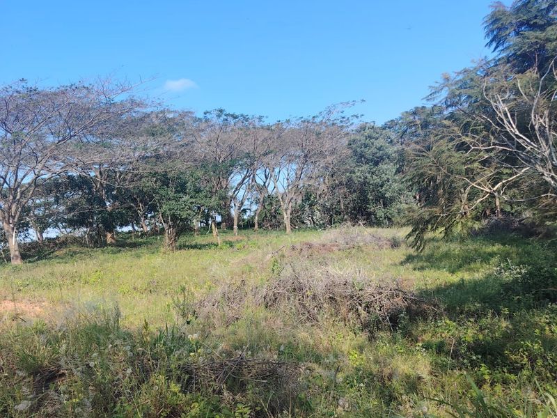 Secure Your Future in Seaton Estate – Premium Vacant Land Available - Photo 5