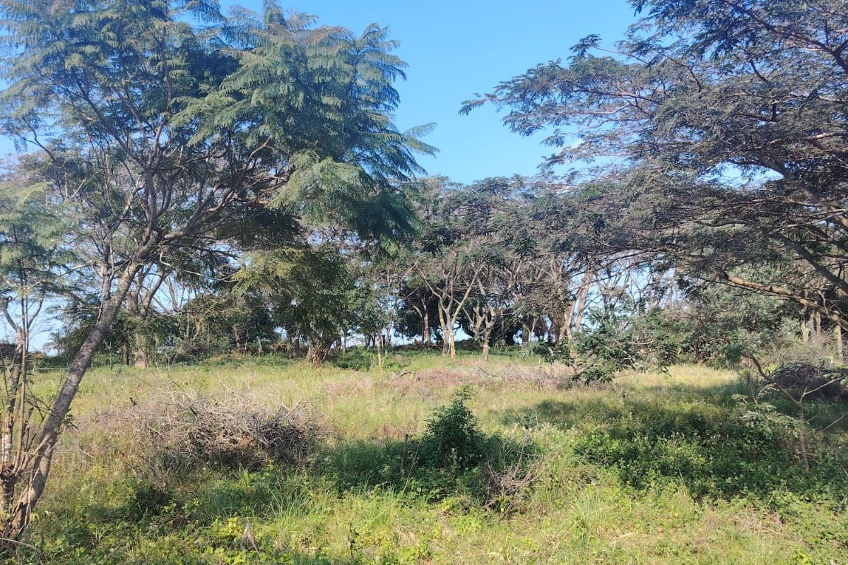 Secure Your Future in Seaton Estate – Premium Vacant Land Available - Photo 3