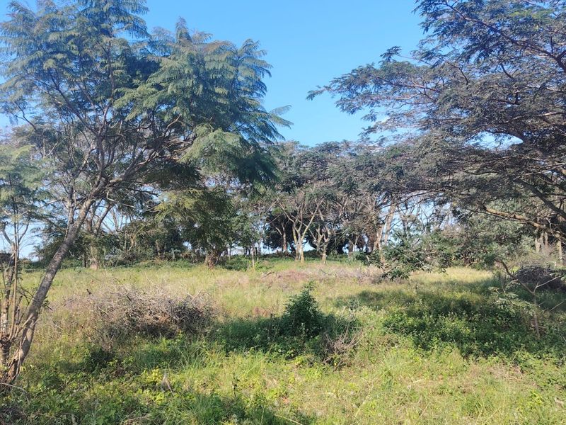Secure Your Future in Seaton Estate – Premium Vacant Land Available - Photo 3