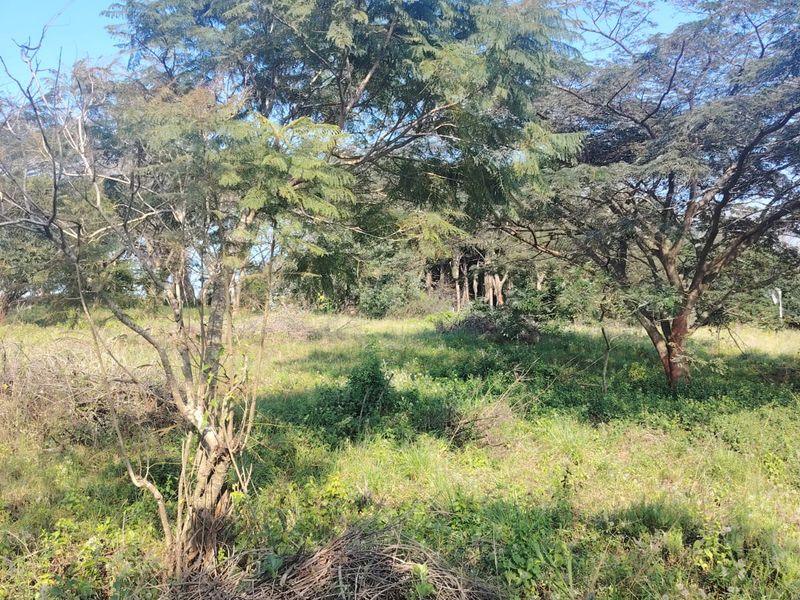 Secure Your Future in Seaton Estate – Premium Vacant Land Available - Photo 8