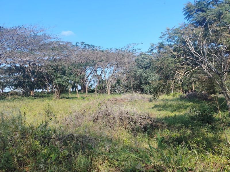 Secure Your Future in Seaton Estate – Premium Vacant Land Available - Photo 6