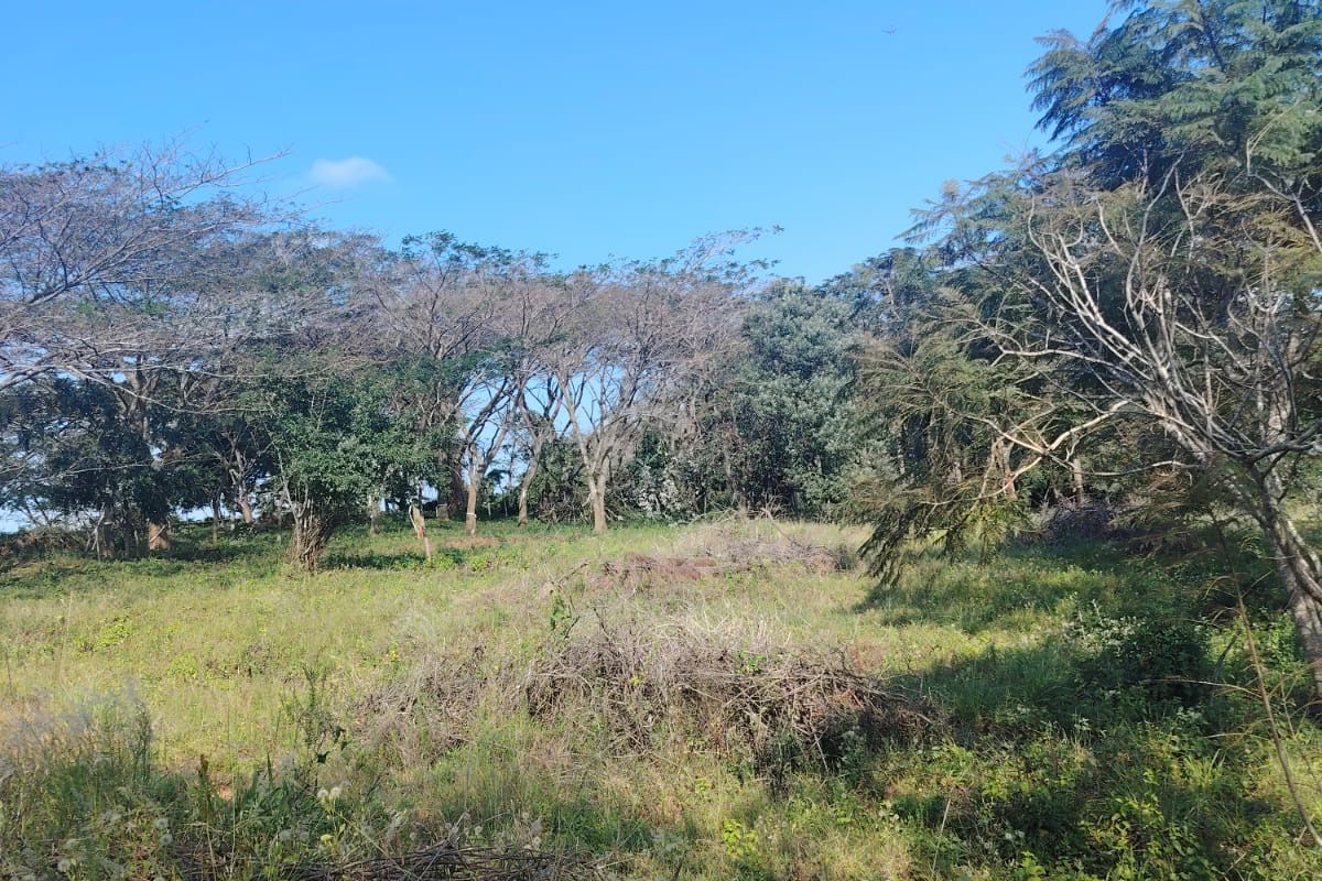 Secure Your Future in Seaton Estate – Premium Vacant Land Available - Photo 2
