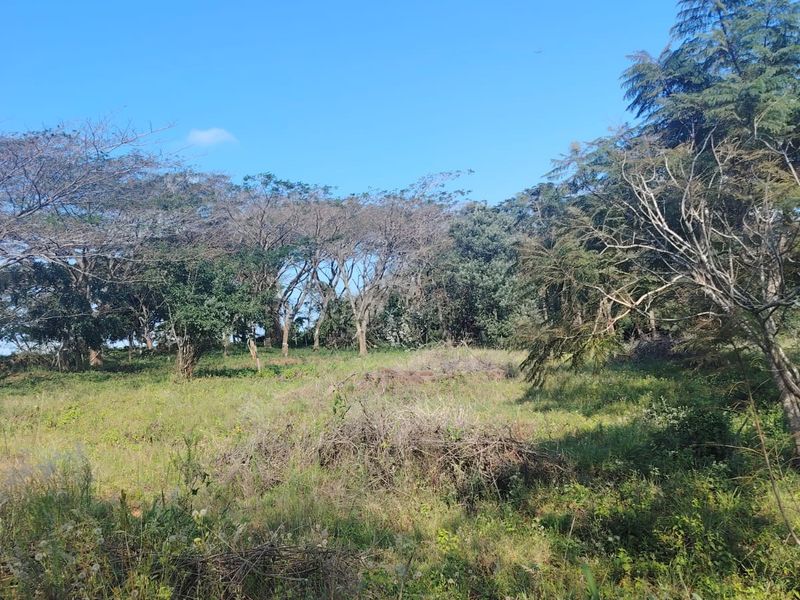 Secure Your Future in Seaton Estate – Premium Vacant Land Available - Photo 2