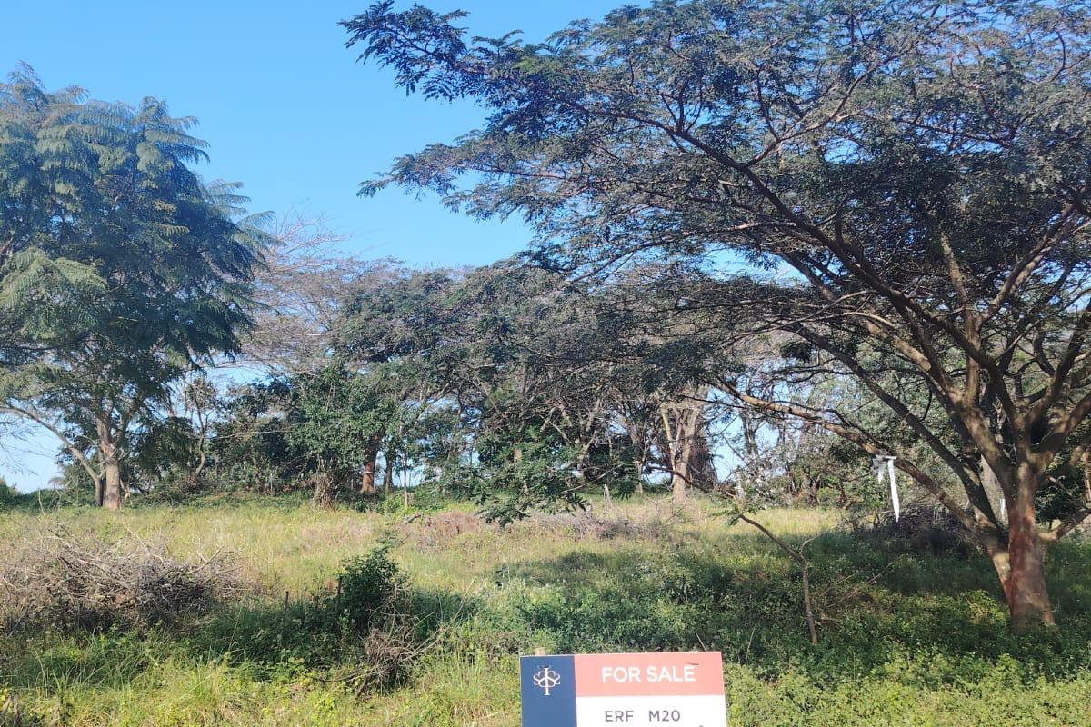 Secure Your Future in Seaton Estate – Premium Vacant Land Available - Photo 4