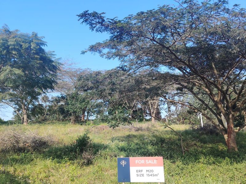 Secure Your Future in Seaton Estate – Premium Vacant Land Available - Photo 4