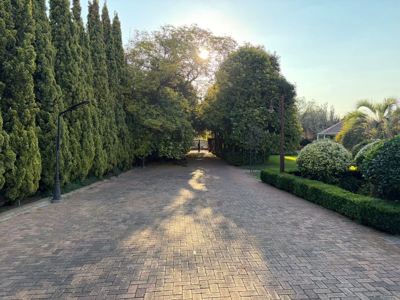 Spacious Smallholding for Sale in Impala Avenue. - Photo 2