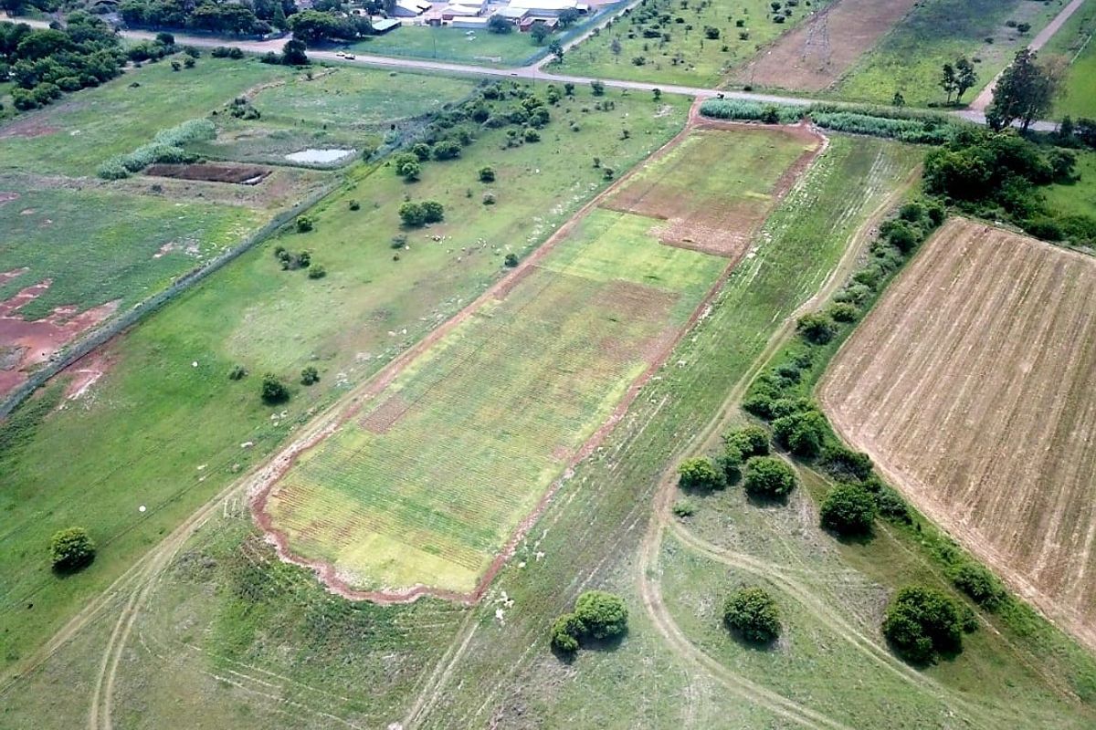 10 Rental Properties, Fertile soil.  On Tar road - Photo 3