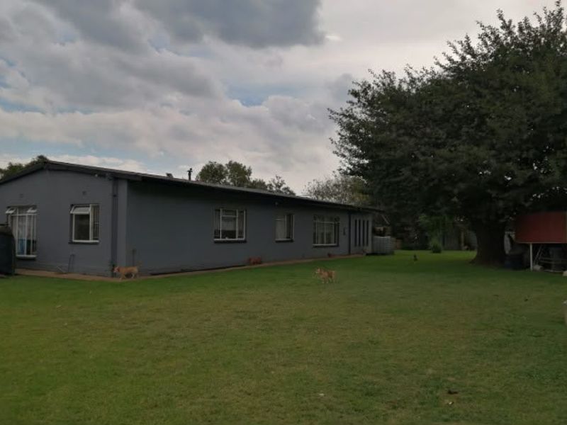 A view of the rear exterior of the house featuring a large lawn, mature tree, and paved walkway along the building facade.