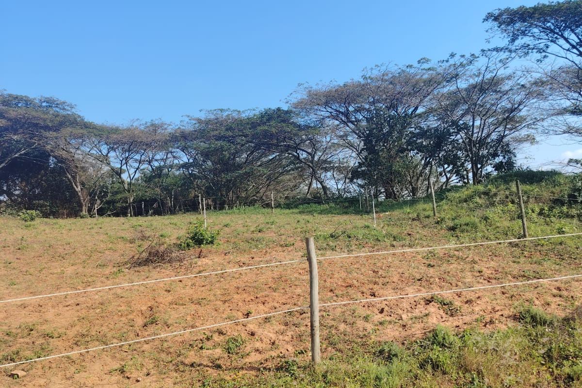 A Rare Opportunity to Build in Seaton Estate, Ballito - Photo 2