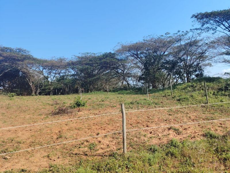 A Rare Opportunity to Build in Seaton Estate, Ballito - Photo 2