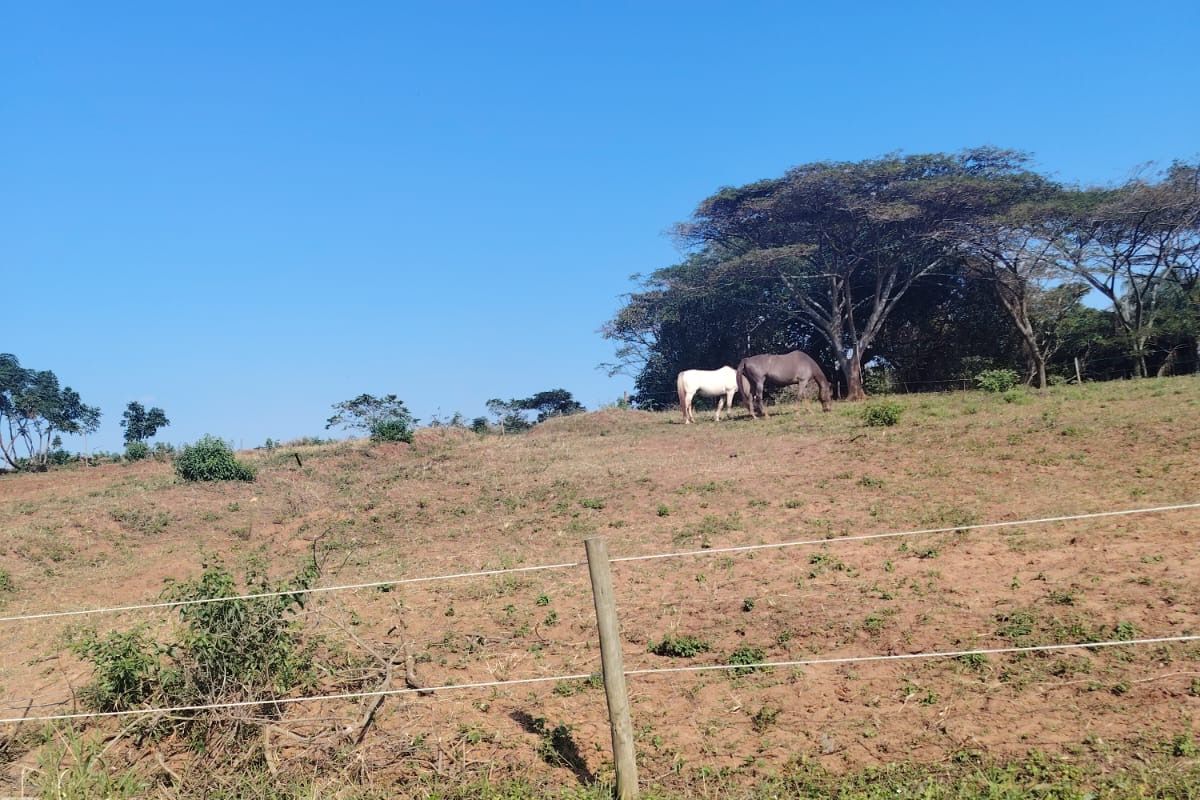 A Rare Opportunity to Build in Seaton Estate, Ballito - Photo 4