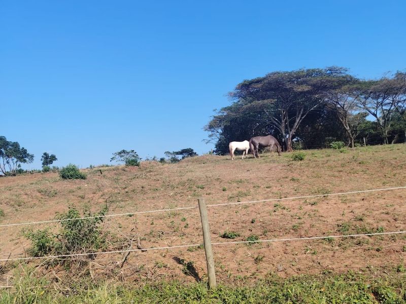 A Rare Opportunity to Build in Seaton Estate, Ballito - Photo 4