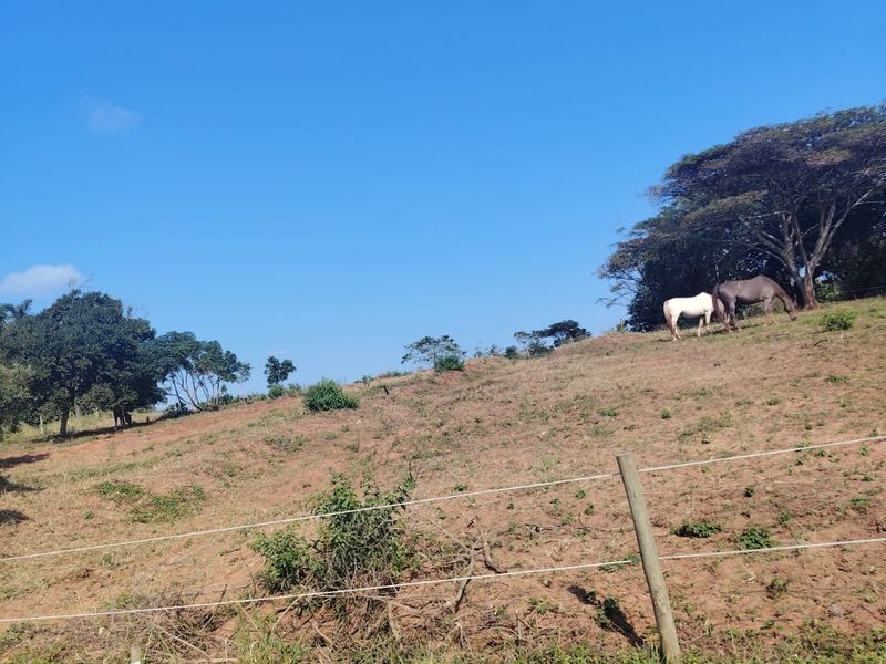 A Rare Opportunity to Build in Seaton Estate, Ballito - Photo 9