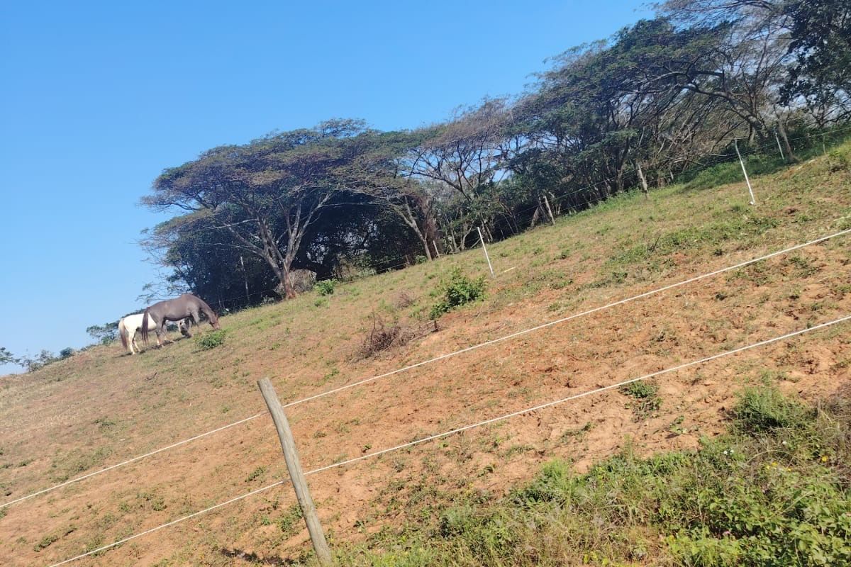 A Rare Opportunity to Build in Seaton Estate, Ballito - Photo 3