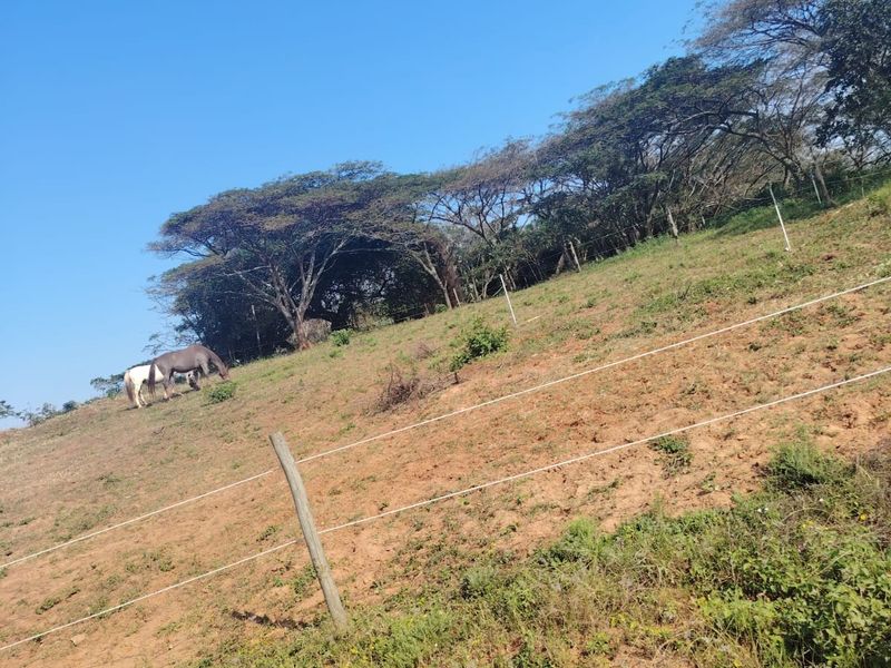 A Rare Opportunity to Build in Seaton Estate, Ballito - Photo 3