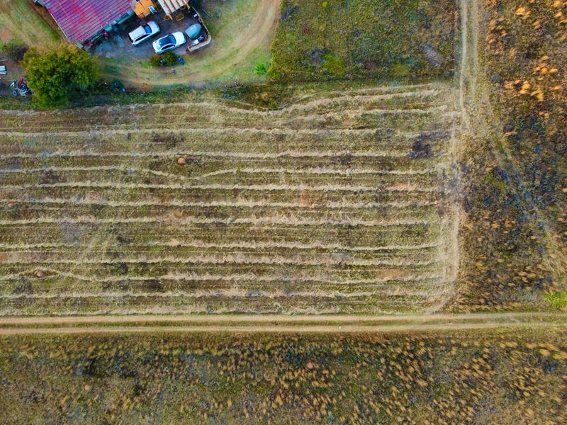 2 Hectares of Versatile Vacant Land For Sale in Naauwpoort Near the Dam - Photo 8
