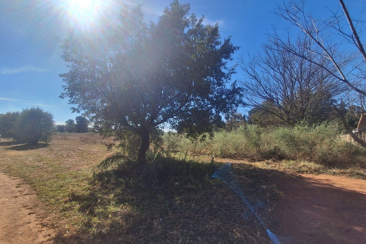 A view of a vacant residential plot featuring mature trees and natural vegetation under a clear sky.