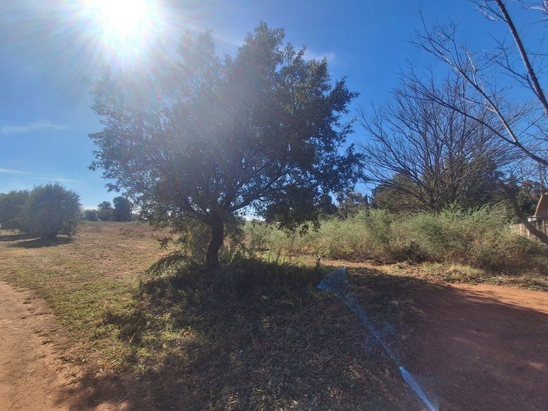 Prime Residential Land for Sale – Henley Size: 2,974 m2 of spacious residential Land. - Photo 4