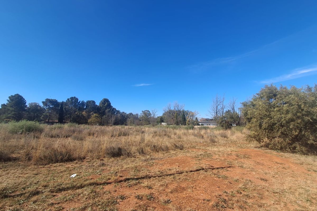 A wide-angle view of a vacant residential plot featuring natural vegetation, open ground, and mature trees under a clear blue sky.