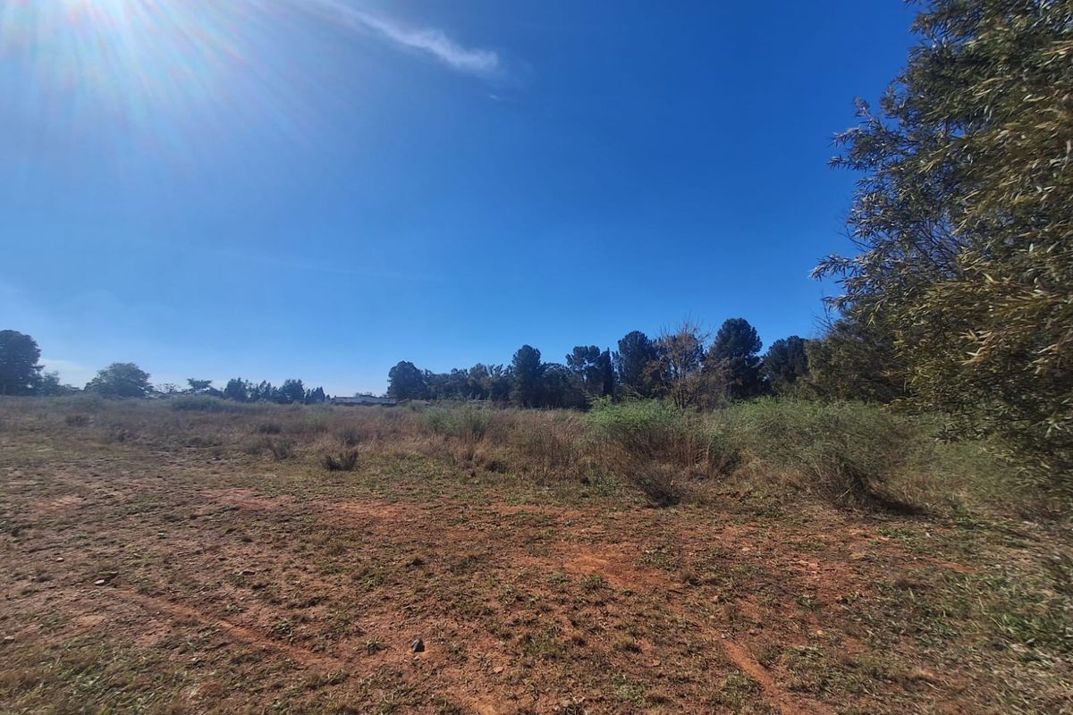 A wide-angle view of a vacant residential plot featuring natural vegetation and mature trees under a clear blue sky.