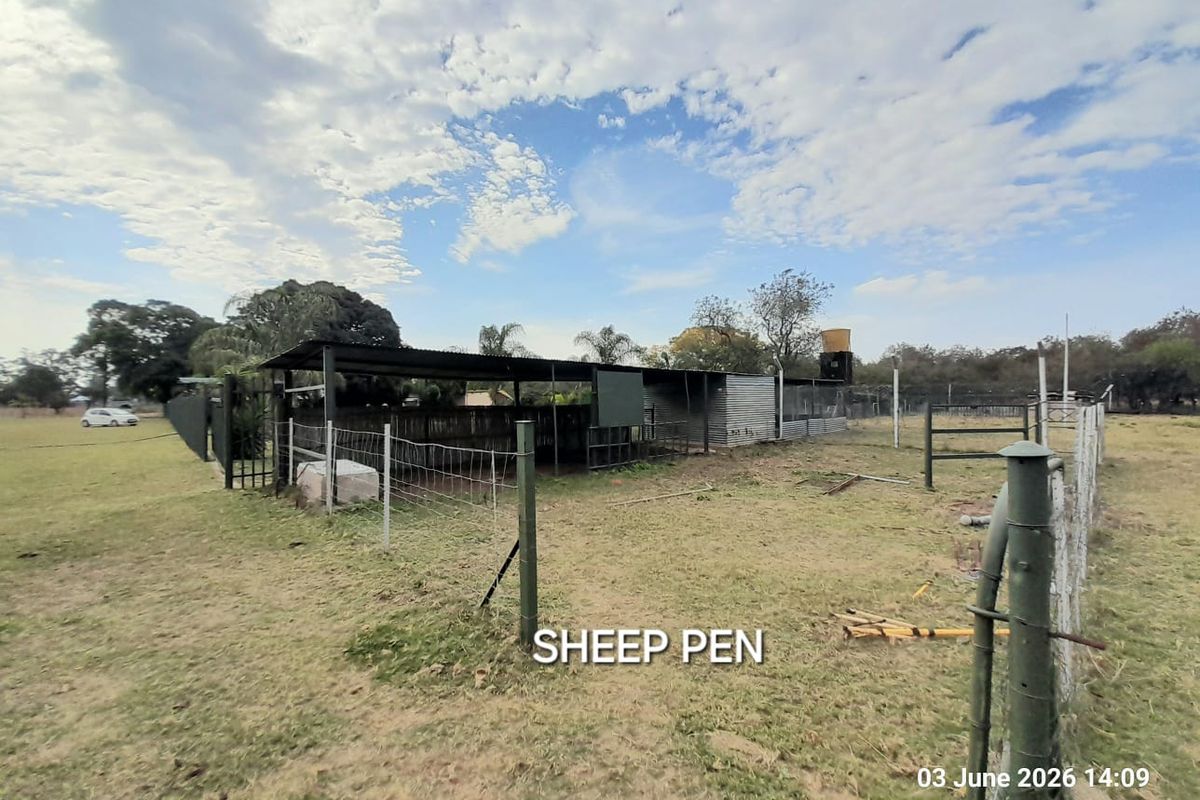 Very Neat House & Granny flat - Cattle Kraal - Pig sties - Sheep pen - Chicken coop - Photo 3
