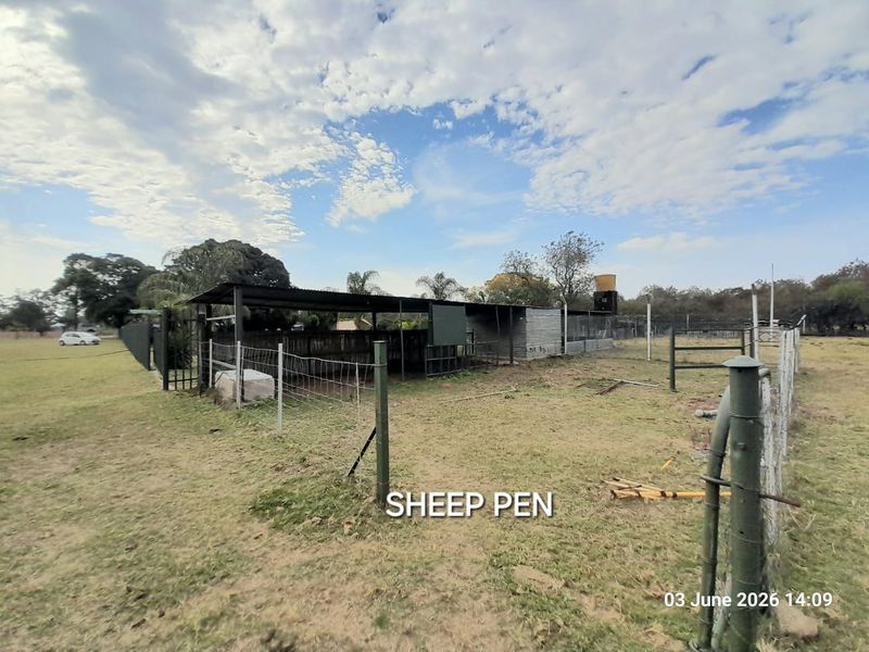 Very Neat House & Granny flat - Cattle Kraal - Pig sties - Sheep pen - Chicken coop - Photo 3