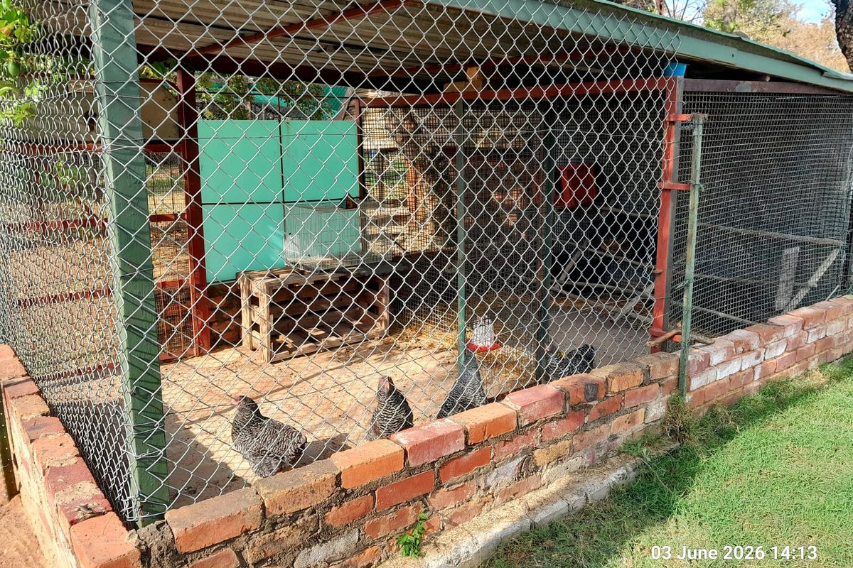 Very Neat House & Granny flat - Cattle Kraal - Pig sties - Sheep pen - Chicken coop - Photo 2