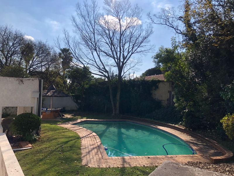 A private backyard featuring a swimming pool with brick coping, surrounded by established trees and garden landscaping.