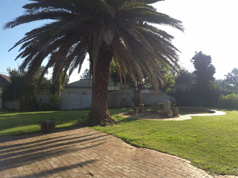Spacious 3-Bedroom Family Home to Let in Strubenvale - Photo 4