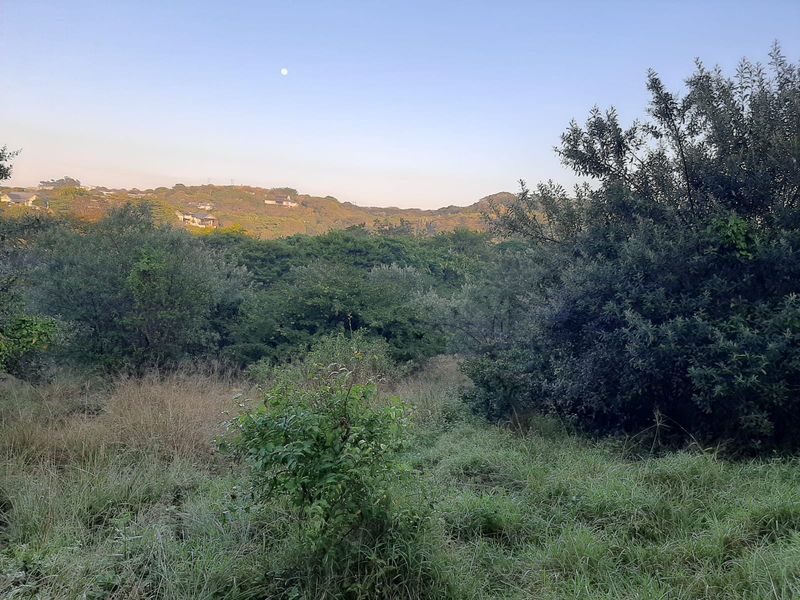 Prime Simbithi Eco Estate Vacant Land with Approved Plans – Build Your Dream Lifestyle - Photo 8