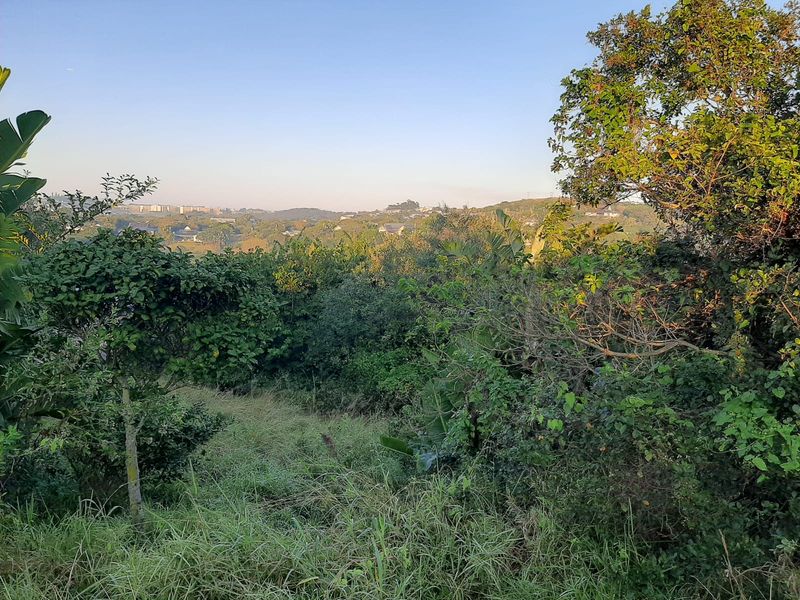 Prime Simbithi Eco Estate Vacant Land with Approved Plans – Build Your Dream Lifestyle - Photo 5