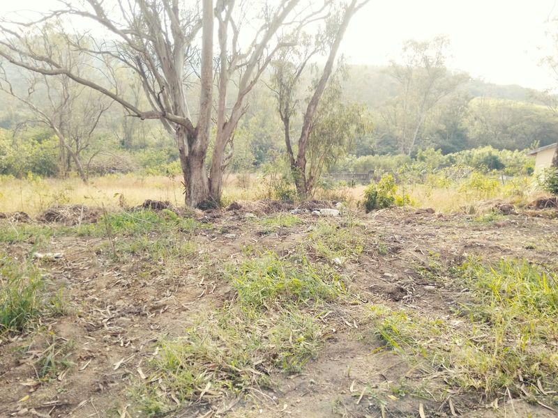 RESIDENTIAL DOUBLE SITE FOR SALE MANDENI - Photo 9