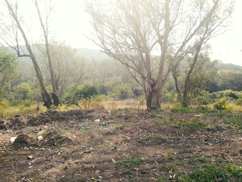 RESIDENTIAL DOUBLE SITE FOR SALE MANDENI - Photo 8