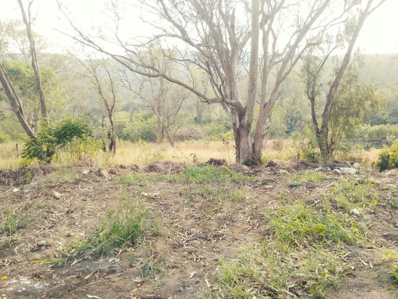 RESIDENTIAL DOUBLE SITE FOR SALE MANDENI - Photo 7