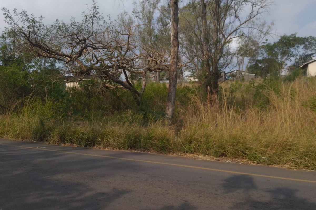 RESIDENTIAL DOUBLE SITE FOR SALE MANDENI - Photo 5
