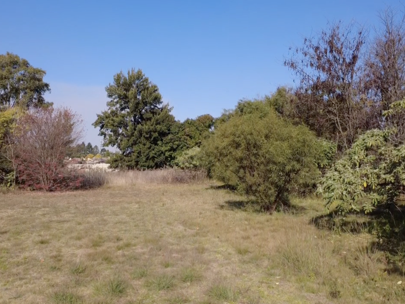Vacant Land Residential For Sale In Benoni - Photo 9