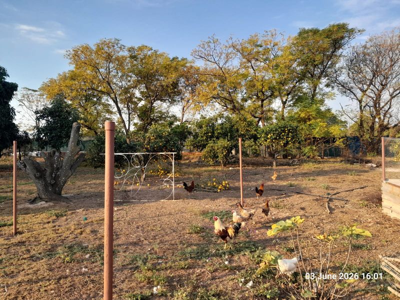 9.4ha Farm for Sale – Prime Location Near Wallmansthal N1 Tollgate. House & Ganny flat - Photo 2