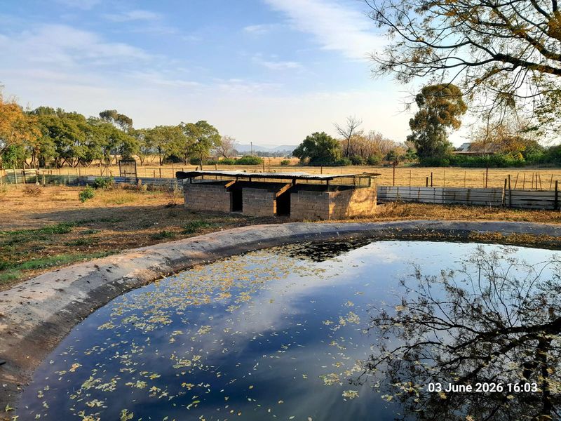9.4ha Farm for Sale – Prime Location Near Wallmansthal N1 Tollgate. House & Ganny flat - Photo 1