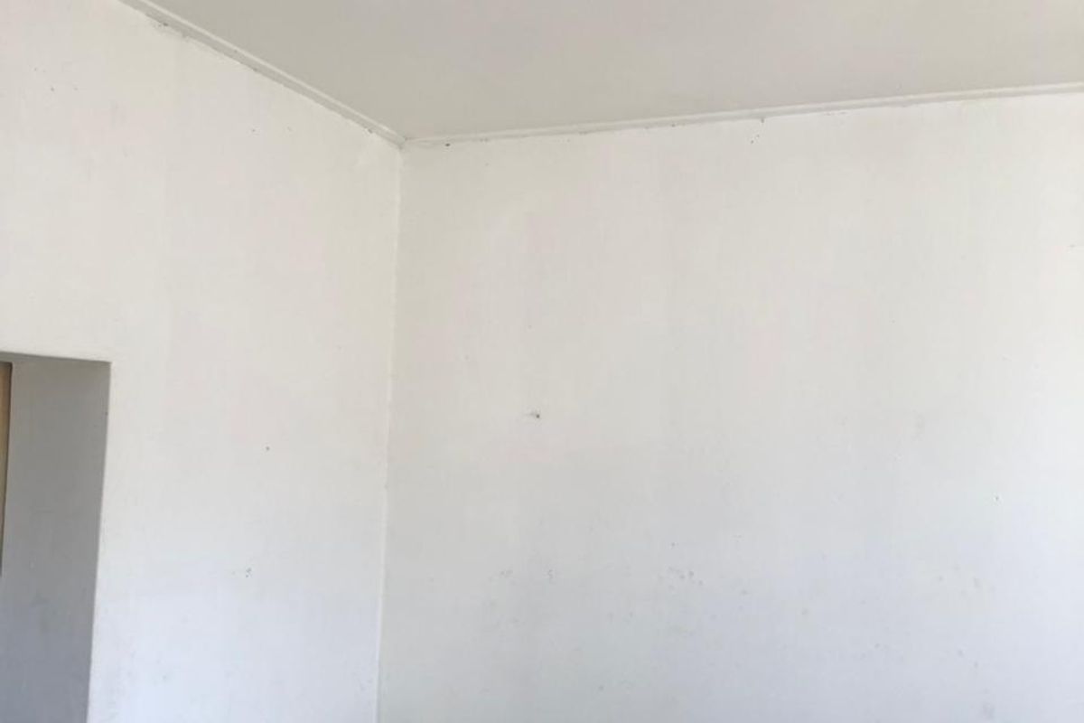 128 12th Street, Orange Grove: - Photo 4