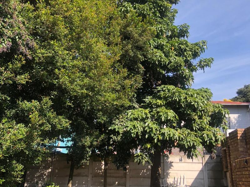 128 12th Street, Orange Grove: - Photo 6