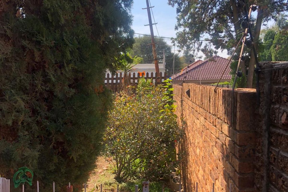128 12th Street, Orange Grove: - Photo 3