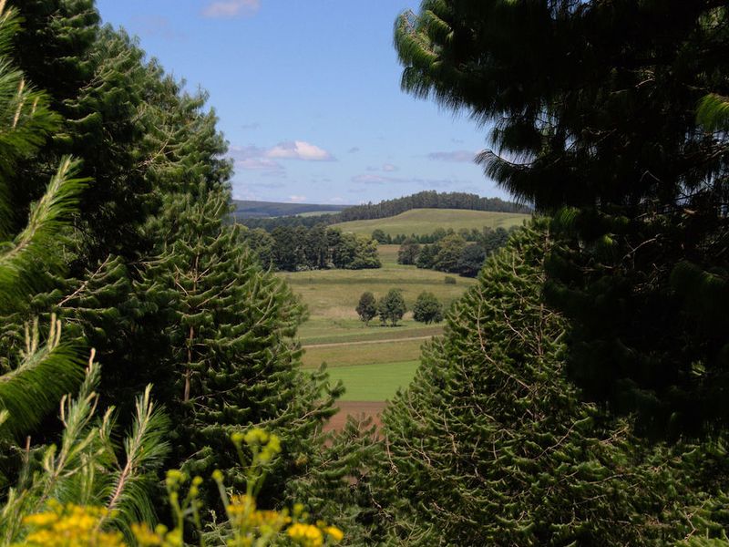 Land For Sale in Nottingham Road Midlands KZN - Photo 10